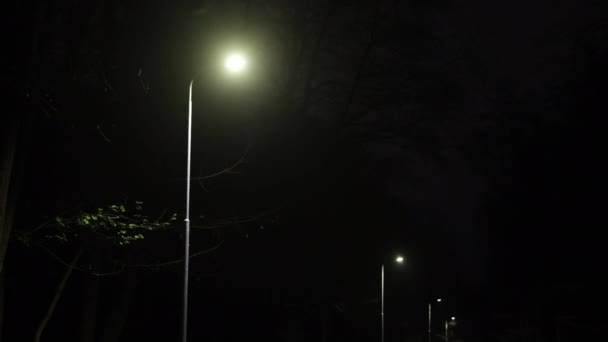 Nachtverlichting Verlichte Weg Lantaarns Straatlampen Rij Lichten Nacht Pad Het — Stockvideo
