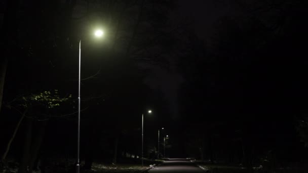 夜间照明 停车灯 街灯排成一排 夜晚在公园路上闪烁着光芒 — 图库视频影像