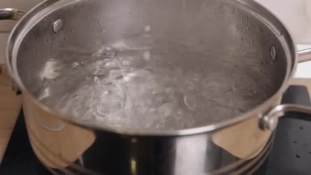 Garnek Kuchnia Kuchnia Gotująca Się Woda Gotowania Potraw Odbywa Się — Wideo stockowe