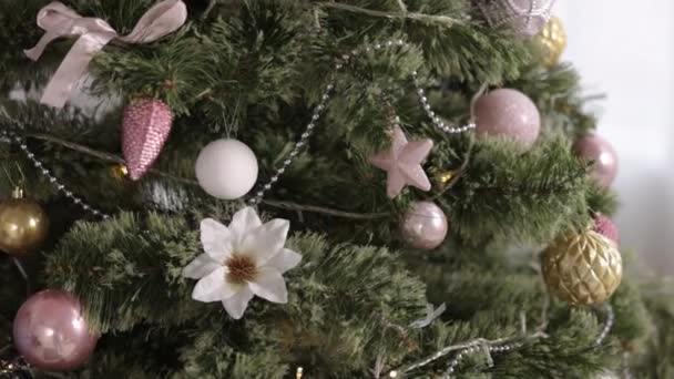 Karácsonyfa Lit Hagyományos Karácsonyi Fenyő Díszített Szálak Koszorúk Csillogó Izzók — Stock videók