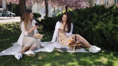 Romantik piknik, Şarap Kutlaması, Kadınlar Dışarı. İki bayan, arkadaş, piknikte kırmızı şarap içiyorlar..