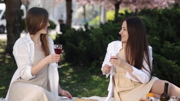 Freundschaftsfeier Freundschaftsfeier Weinfrauen Zwei Freundinnen Picknicken Mit Ihrem Lieblings Rotwein — Stockvideo
