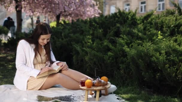 Woman Learning Reading Relaxation Relaxing Reading Inglês Sentada Cobertor Piquenique — Vídeo de Stock