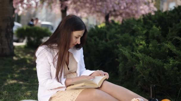 Χαλαρώστε Στο Πάρκο Διαβάζοντας Κουβέρτα Γυναίκα Μυθιστόρημα Αρραβωνιασμένη Στο Βιβλίο — Αρχείο Βίντεο