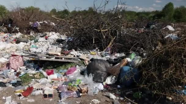 Hromada Odpadků Zanedbávané Prostředí Přetížení Odpadků Rozsáhlá Území Jsou Zaplavena — Stock video