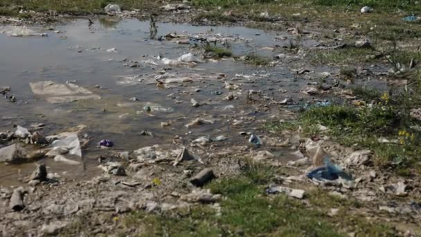 水污染 自然生境 污染后果 池塘及其周围的草原上到处都是垃圾 显示了对水生和陆地生态系统的有害影响 — 图库视频影像