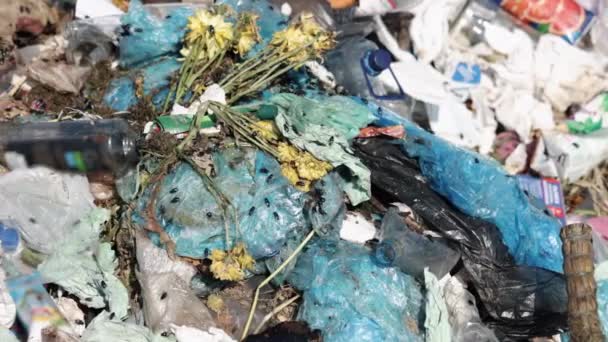 Land Waste Pollution Overload Trash Dump Sight Trash Overwhelming Land — Stock Video