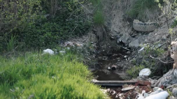 Природні Середовища Проживання Поінформованість Про Забруднення Забруднення Природи Ставок Його — стокове відео