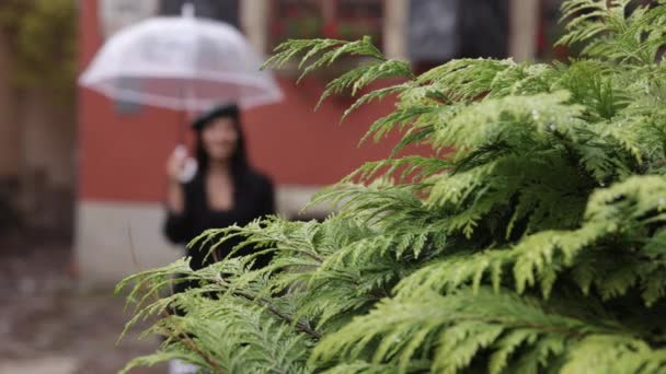 レインウォーキング ブルネット 茶色の髪の女性は雨天の下で傘を持って歩きます — ストック動画