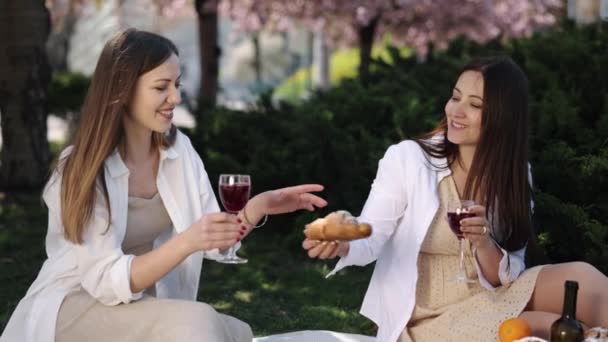 Zomerpicknick Wijn Genieten Picknick Vrouwen Tijdens Picknick Genieten Twee Vrienden — Stockvideo