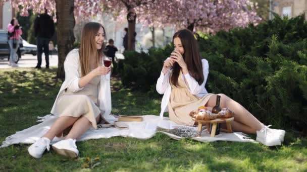 Degustação Vinhos Amigos Livre Piquenique Beber Piquenique Duas Mulheres Amigos — Vídeo de Stock