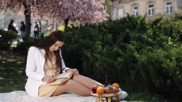 독서를 읽으십시오 피크닉에서 여자는 읽기에 매혹적입니다 — 비디오