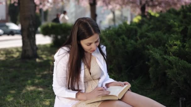 Piknik Okuma Rahatlama Edebiyatı Battaniye Okuma Parktaki Piknik Battaniyesinde Kadın — Stok video