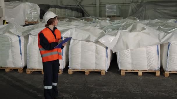 Fabriksinspektion Väska Räkna Varor Översyn Factorys Kvinnliga Inspektör Undersöker Produkter — Stockvideo