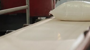 Şeker ambalajı, fabrika ayarları, şeker taşımacılığı. Endüstriyel tesiste, şeker dolu mühürlü çanta taşıyıcı bantta sorunsuz hareket eder..