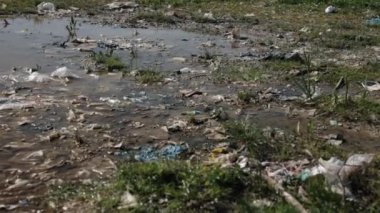 Kirli gölet, çöp birikintisi, Sucul sağlığı. Enkaz, gölet ve yakınlardaki otlakları kirleterek hem su hem de kara ekosistemleri üzerindeki zararlı kirliliği vurguluyor..