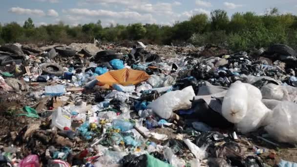 Neglected Environment Pollution Problems Trash Heaps Heaps Rubbish Smothering Land — Αρχείο Βίντεο
