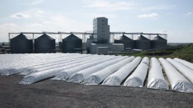 Yükselen silolar, silo mimarisi, tarım yapıları. Ekinler seralar içinde sera içinde gelişir, uzak mesafelerde beliren silolar çağdaş tarım yöntemlerindeki gelişmeleri sembolize eder..
