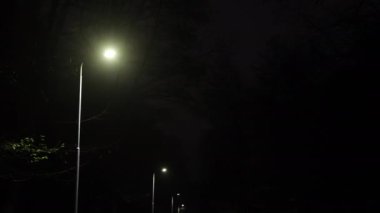 Park ışıkları, ışıklandırılmış cadde, lamba sırası. Park alanında, sokak lambaları geceleri sokağa ışık saçıyor..