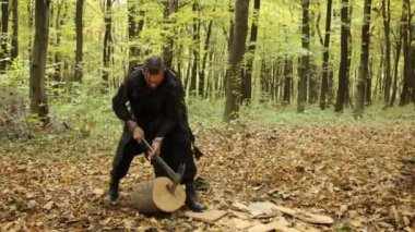 İskandinav savaşçısı, Viking gücü, sakallı adam. Sakallı Viking adam, koyu giyinmiş, sonbaharda ormanda baltayla odun kesiyor..