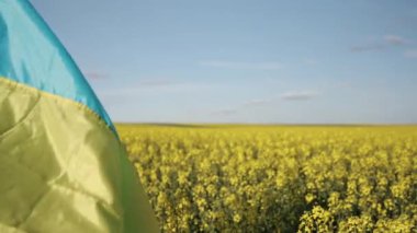 Ulusal bayrak, sarı kanola, manzara güzeli. Mavi gökyüzünün altında dalgalanan Ukrayna bayrağı ulusal gurur ve doğal güzelliği simgeliyor..