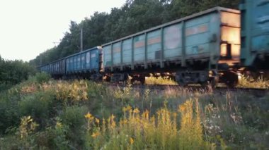 Yoğun orman, güneş ışığı, orman bitkileri. Yük vagonlu yük treni demiryolu boyunca ilerliyor. Yoğun orman bitkileriyle çevrili, hafif güneş ışığıyla aydınlatılıyor..