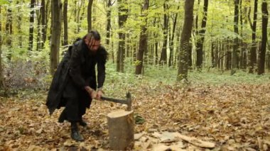 Kuzeyli denizci, Viking baltası, sakallı adam. Sakallı Viking, sonbahar ormanlarında odunları baltayla doğruyor..