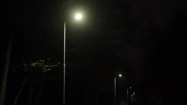 Gece parıltısı, parlayan lambalar, park yolu. Geceleri parkta sokak lambaları yakılır..