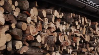 Yakacak odun yığını, odun kesme, odun yığını. Korumalı çatı altında düzgünce yerleştirilmiş odun yığını. Ahşap kütükler yeni kesilmiş, çeşitli doku ve renkler sergiliyorlar.