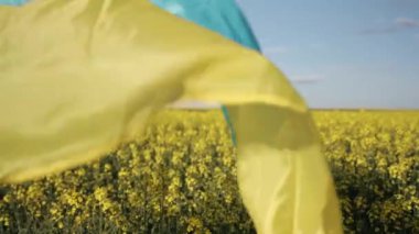 Ukrayna bayrağı, mavi gökyüzü, bayrak doğası. Mavi gökyüzünün altındaki parlak sarı kanola tarlasında dalgalanan Ukrayna bayrağı ulusal gurur ve doğal güzelliği temsil ediyor..