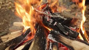 Kükreyen kamp ateşi, kamp ateşi, kamp ateşi. Yakından gelen kükreyen kamp ateşi yanan odunlar ve parlayan közler açık havada sıcaklık ve ışık yaratıyor..