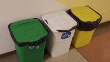 Çöp kutusu, çevre bakımı, geri dönüşüm organizasyonu. Cam, kağıt ve plastik malzemelerin sıralanması için renk kodlu kutular düzgün bir şekilde bertaraf edilmesi için kapakların üzerindeki geri dönüşüm sembolleriyle işaretlenir..
