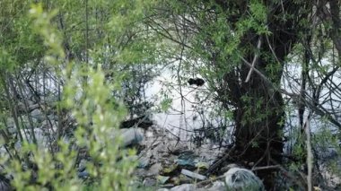 Çöp toplama, arazi sağlığı, kirlilik azaltma. Enkaz göleti ve çevresindeki çimenli alanları kirletir ve hem su hem de kara ortamları üzerindeki kirliliğin olumsuz etkilerinin sinyallerini verir..
