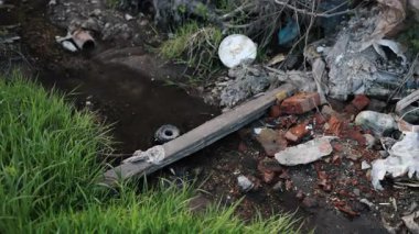Vahşi yaşam tehdidi, doğa koruma, kirlilik farkındalığı. Göl ve çevresindeki otlaklar, atıkla dolu, hem su hem de kara ekosistemleri üzerinde negatif etki kirliliği gösteriyor..