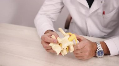 Omurga, Klinik Anatomi, Anatomi Çalışması. Doktorun da açıkladığı gibi, elleri omurga modelini dikkatlice hareket ettiriyor..