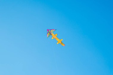 Mavi gökyüzünde uçan renkli uçurtma. Yaz oyunları ve eğlence.