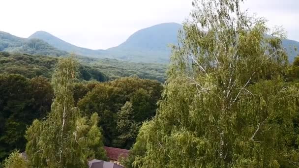 Paesaggio Con Splendida Vista Sulle Montagne — Video Stock