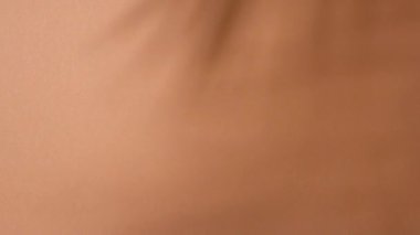 Kahverengi arka planda bir palmiye dalının gölgesi