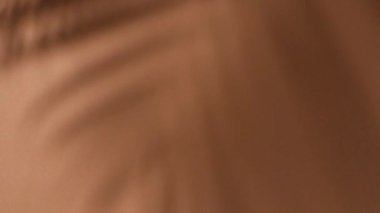 Kahverengi arka planda bir palmiye dalının gölgesi