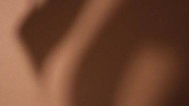 Kahverengi arka planda bir palmiye dalının gölgesi