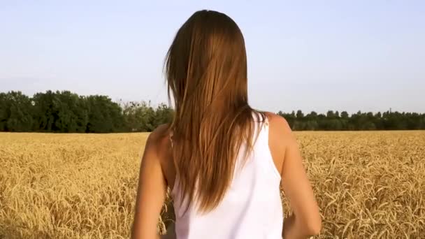 Mladá Žena Kráčející Poli — Stock video