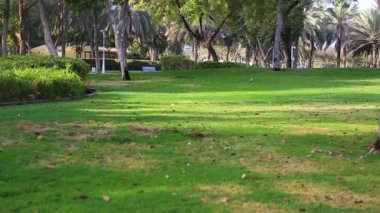 Şehir parkının arka planında çimlerle çevrili.