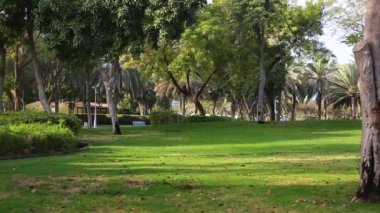 Şehir parkının arka planında çimlerle çevrili.
