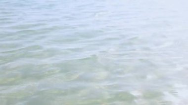 Deniz ve kumlu sahil. Deniz dalgaları