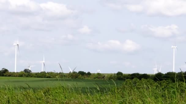 Wind Turbines Background Fields Wind Farm Fight Global Warming — Stock Video