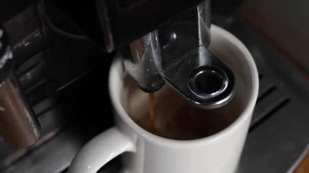 Работа Кофеварки Процесс Приготовления Кофе — стоковое видео
