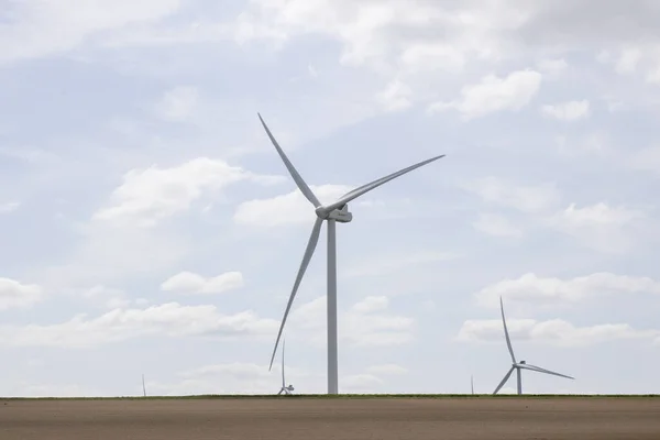 Windmills for electricity generation. Wind turbine farm, windmill farm producing green energy.