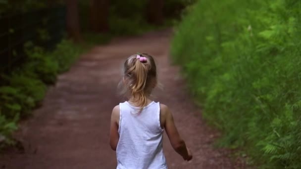 Παιδί Περπατά Ένα Μονοπάτι Στο Δάσος — Αρχείο Βίντεο