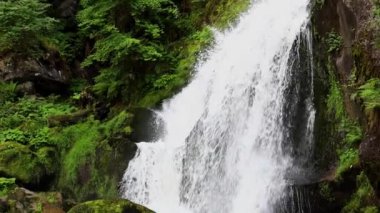 Yaz ormanında dağ şelalesi