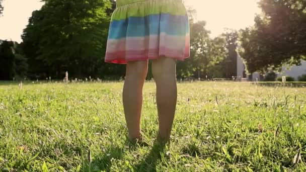 Mała Dziewczynka Biegnie Przez Łąkę Parku — Wideo stockowe